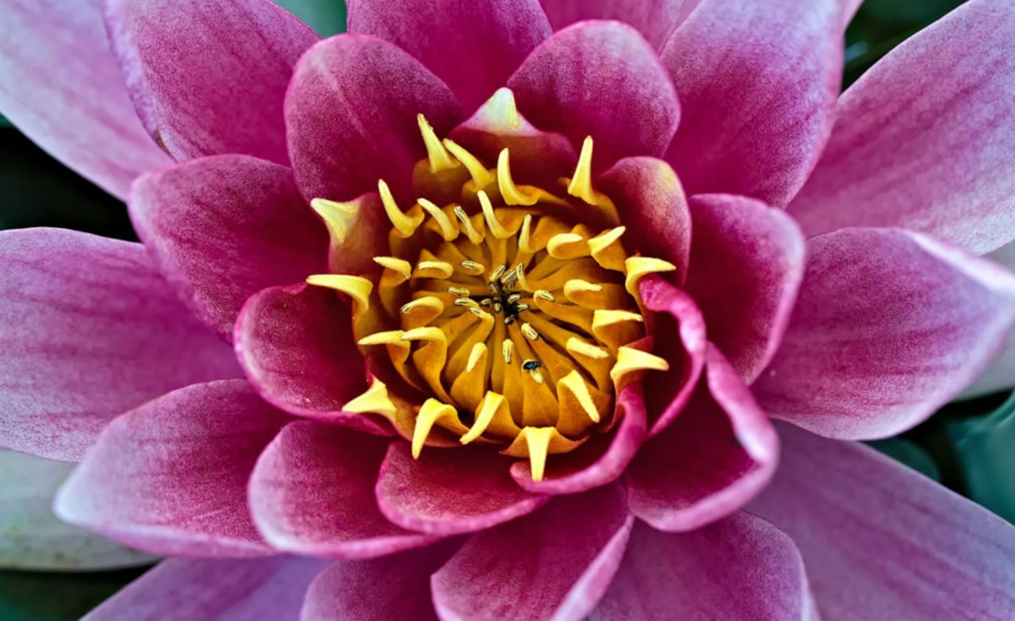 Démonstration de techniques d'assemblage floral en atelier