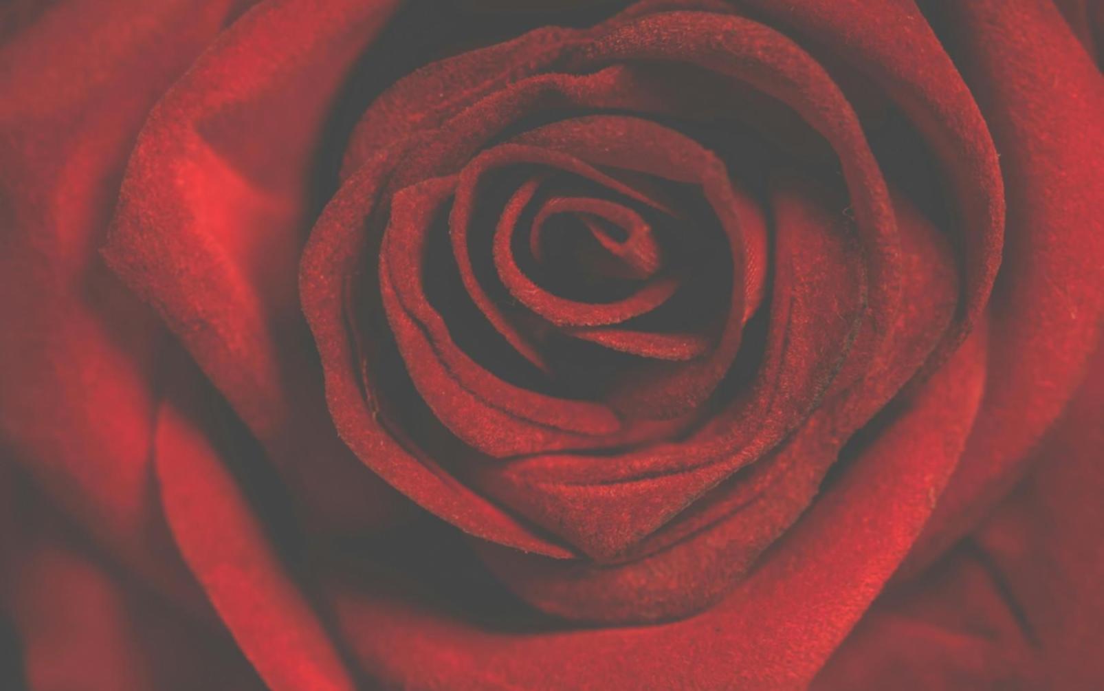 Table de travail avec différents arrangements floraux en cours de réalisation